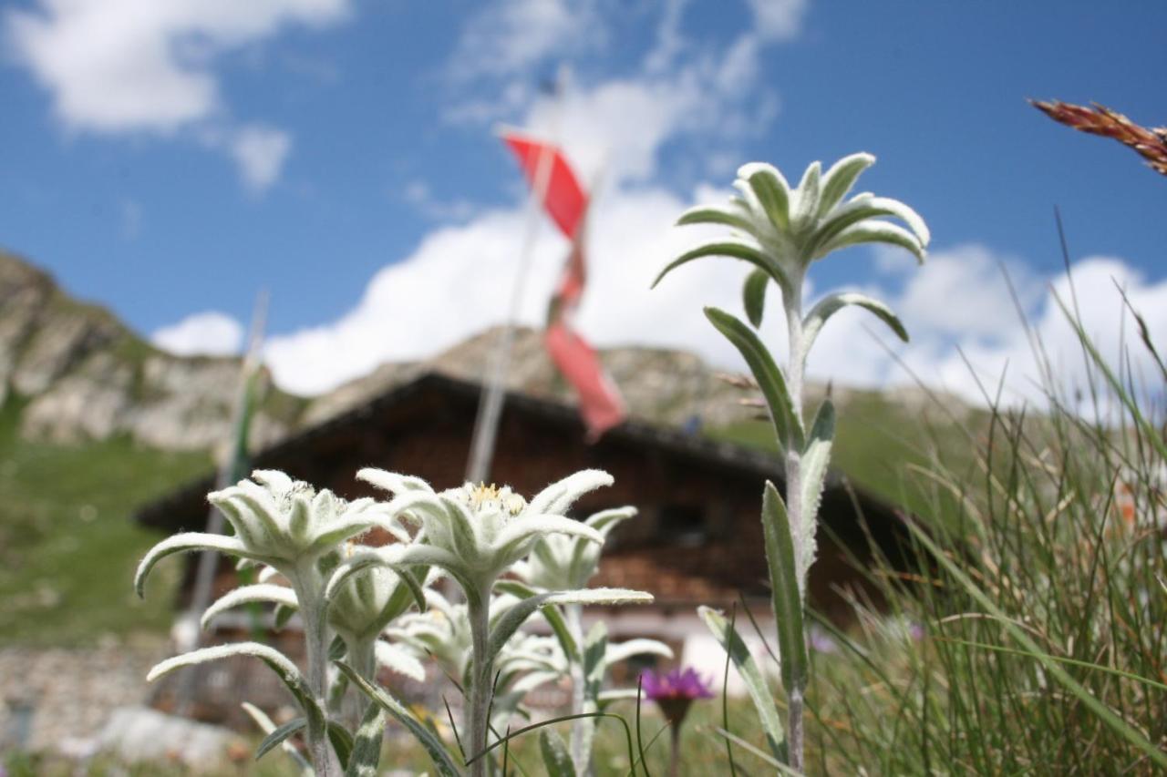 Unterlutaschg-Chalet Appartement Am Hof Slingia Rum bild